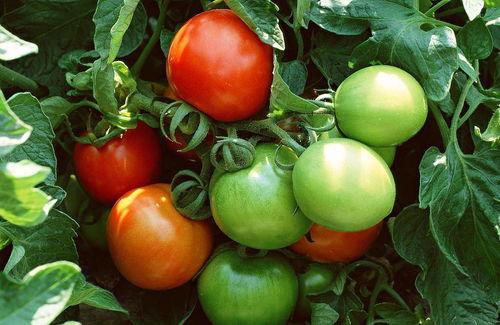 娱乐吃瓜竖屏图片大全,竖屏图片大全，带你一窥明星幕后生活